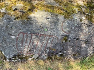 Högsbyns hällristningsområde