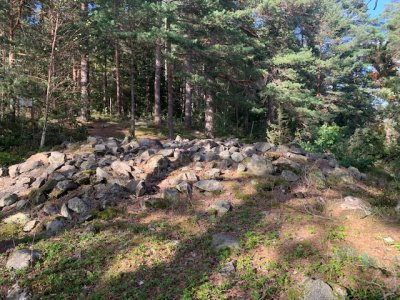 Tisselskog