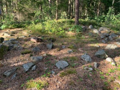 Tisselskog