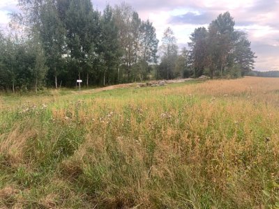Evenstorp