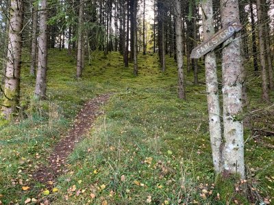 Varggrop och bronsåldersröse