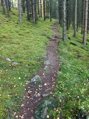Stigen går upp längs en brant sluttning.