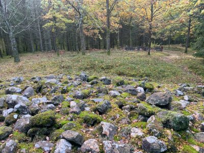 Oktoberskog, bronsåldersgrav och varggrop.