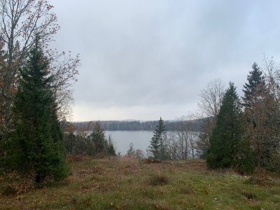 Utsikt fr&aring;n graven