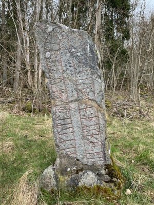 Runstenen står vid en gård i Flo, ett par kilometer från Vg 100.